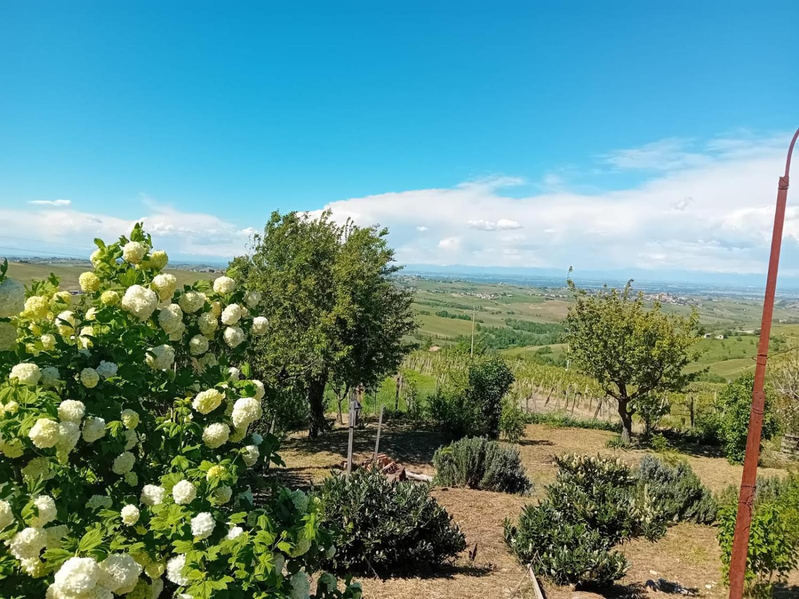 Villa Nife Tiny House - Secret Garden à Montalbo Extérieur photo